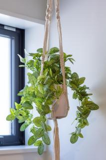 Walk In, Unwind & Feel Right at Home - 3