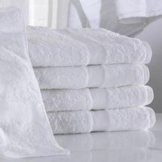 Saltwind Stay - 6