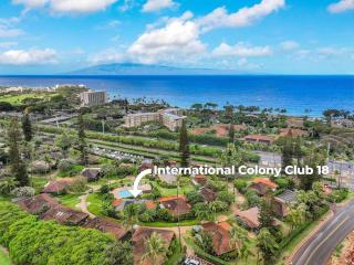 International Colony Club 18 · ICC 18 Remodeled Cottage w Heated - 6