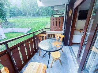 Studio confortable à Châtel, proche remontées mécaniques, parking et animaux admis - FR-1-676-233 - 3