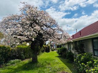 Awatea Park Motel - 6
