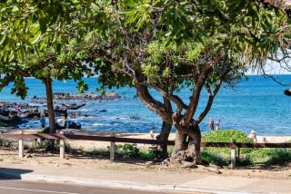 Modern Studio Beach Vistas - 1