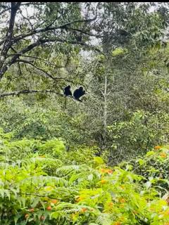 Casa Nube Resort Munnar - 4