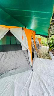 EarthWise Camping - 5