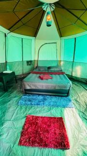 EarthWise Camping - 4