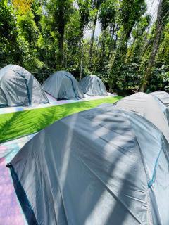 EarthWise Camping - 3
