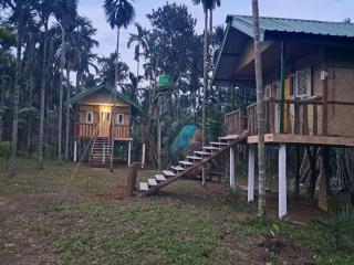 Chandubi Homestay - 4