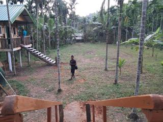 Chandubi Homestay - 2