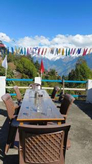 Munsyari camping zone & tracking snow hill - 5