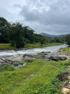 Aravanazhi tharavadu - 3