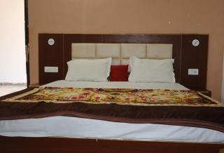 Hotel pramod palace - 3