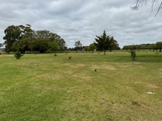 Poona Farm Estate - Caravan & Camping - 7