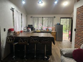 Cabaña en Villa del carbón - 4