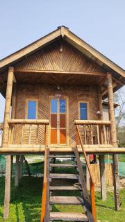 Dibru-Saikhowa Eco Camp - 3