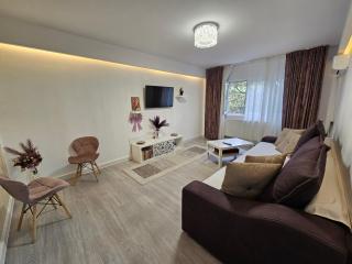 Chique Apartament - 5