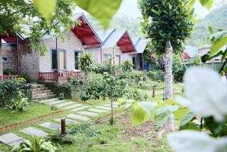 Cat Ba Spring Homestay - Cát Bà - 1