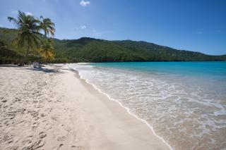 Elysian Beach Resort - 8