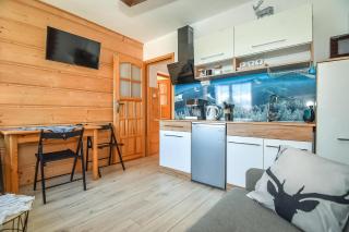 Zakopiańskie Pokoje u Eweliny - Apartament - 6