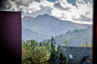 Zakopiańskie Pokoje u Eweliny - Apartament - 9