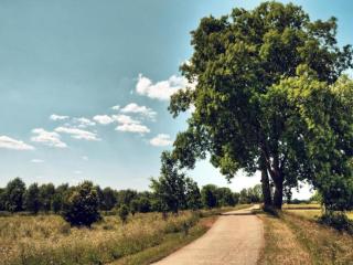 Duplex Apartment in the shopping street of Maasmechelen - 2