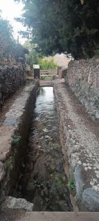 El Olivo mío - 5