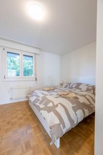 Bright Apartment in Thun, 50m to Lake Free Parking - 9