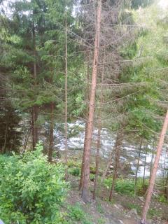 Котедж Синевир - 2