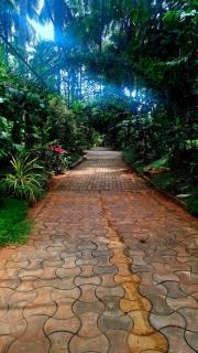 NesaraVana - Ecostay - 0