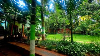 NesaraVana - Ecostay - 2