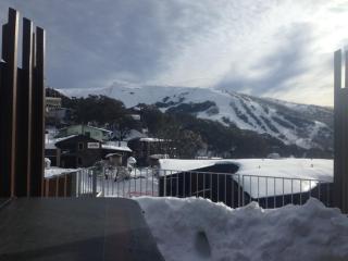 St Falls Penthouse Apartment E602 - Falls Creek - 7