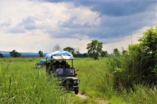 Chitwan Jungle Safari Home Stay - 5