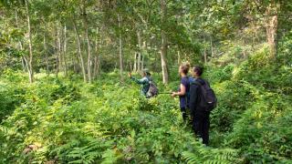 Chitwan Jungle Safari Home Stay - 1