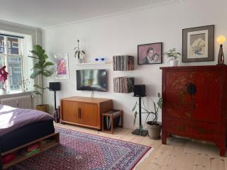 Stunning authentic renovated apt I Near Lakes & Metro - 8