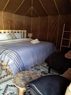 Hassan Desert Camp - 5