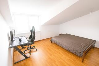 2-room apartment near Xbionic-sphere and Bratislava - 8