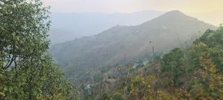 Awadh Niwas A Home in the Heart of the Forest - 7