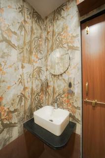 Bagicha villa and cottage - 1