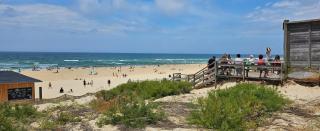 Le charme des Landes - 5