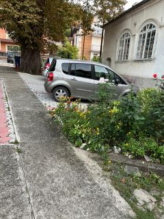 Apartmani Didić - Soko Banja - 8