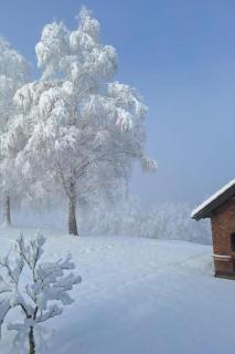 River House Val, Gorski kotar - 0