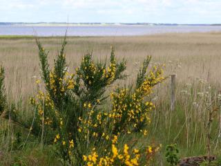 Seaside Serenity at Henne Strand-By Traum - 2