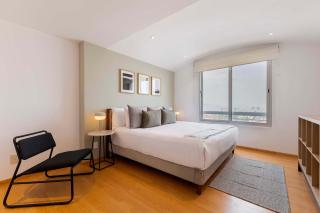 Capitalia Gym Access & Near Parque la Mexicana - 6