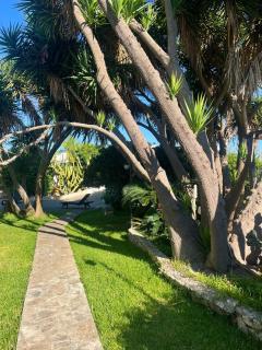 Terra Di Mare - 8