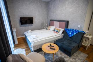 Mountain goat Bjelašnica - 9