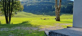 Valley retreat Apartment -  - 9