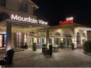 Mountain View Boutique Hotel - Almaty - 9