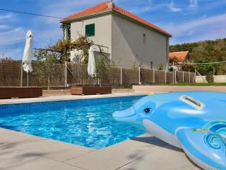 Villa Hirundinidae - 6