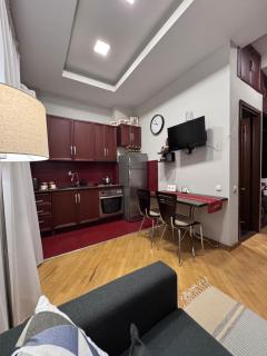 Apartment in front of Vake park - Tbilisi - 3