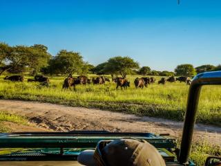AfriCamps at Mackers - 6