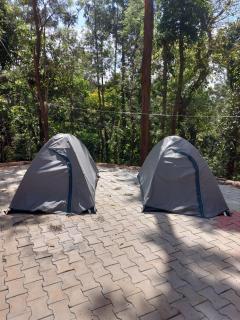 GM Farm Mountain View Homestay - Avathi - 7